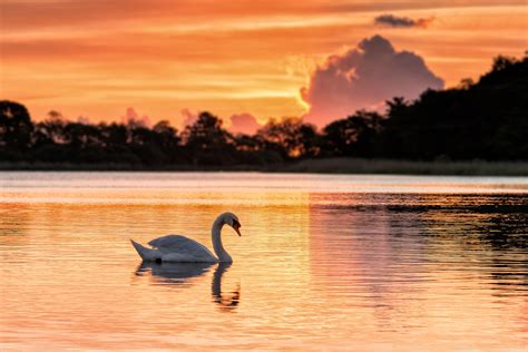 50 Reasons To Visit The Norfolk Broads | Norfolk Broads Direct