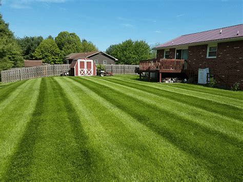 All Pro Lawn Care Christiansburg Va Landscaping