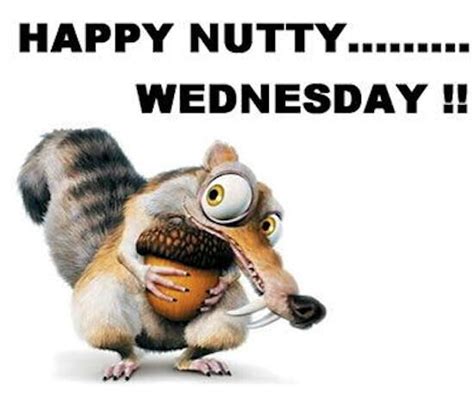 Happy Nutty Wednesday Pictures Photos And Images For