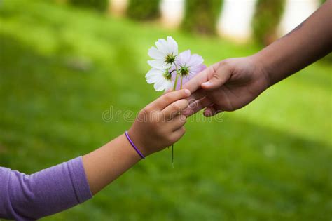 Child S Hand Giving Flowers To Her Friend Stock Image Image Of