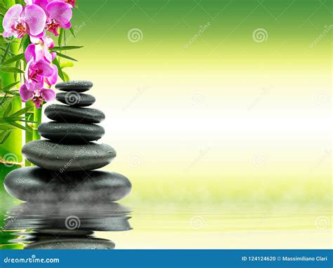 Zen Basalt Stones With Green Bamboo On Water Spa And Wellness Concept