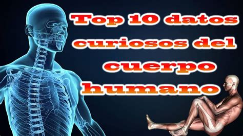 Top 10 Datos Curiosos Del Cuerpo Humano Youtube