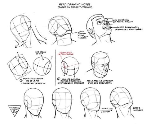 How To Draw The Human Head Techniques And Anatomy Foster Jeanette