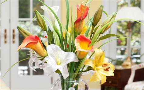 Suellen florist cape coral fl. Suellen Florist Cape Coral Fl - Suellen S Floral ...