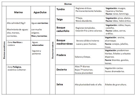 Cuadros Comparativos De Biomas Cuadro Comparativo