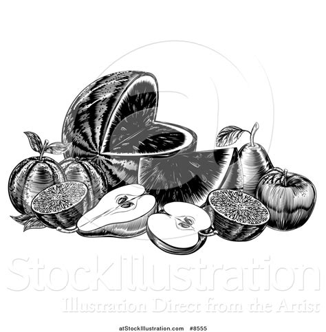 Vector Illustration Of A Vintage Black And White Woodcut Still Life Of