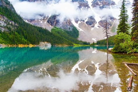 Moraine Lake In Banff Alberta Stock Photo Image Of Scenic Plant