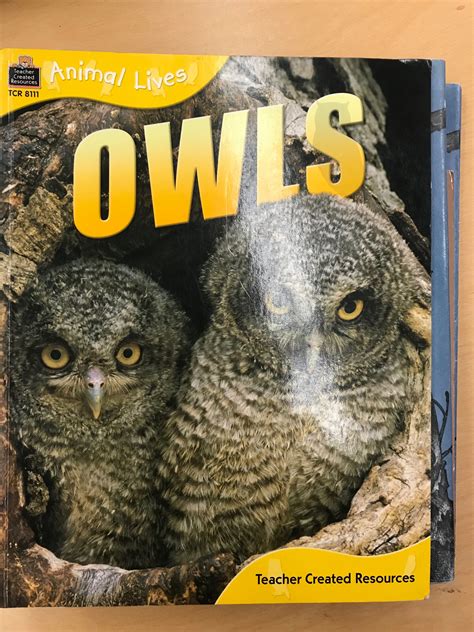 Owl Book Owl Books Owl Theme Teacher Created Resources Owls