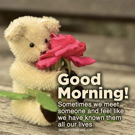 Top Animated Good Morning Love Quotes Good Morning Love Morning Love