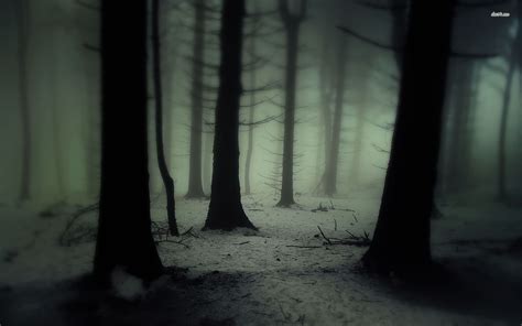 Scary Wallpaper Nature Wallpaper Foggy Forest Haunted Places