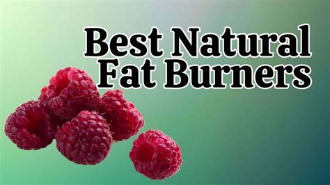 5 Best Natural Fat Burners Vnmaths Educational University College