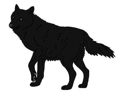 Schipperke Arctic wolf Mexican wolf Black wolf Arctic fox - wolf png png image