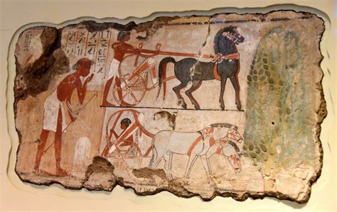 The Egyptian Tomb Chapel Scenes Of Nebamun At The British Museum