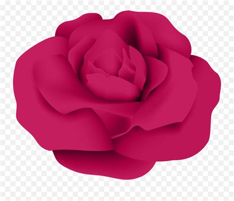Garden Roses Centifolia Roses Clip Art Dark Pink Rose Png Emojirose