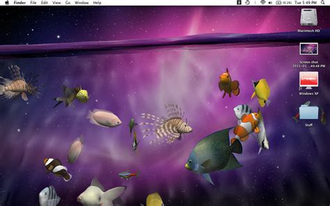 47 Live Aquarium Desktop Wallpaper On Wallpapersafari