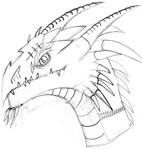 Dragon Head Drawing By Midnightdragon Dragoart