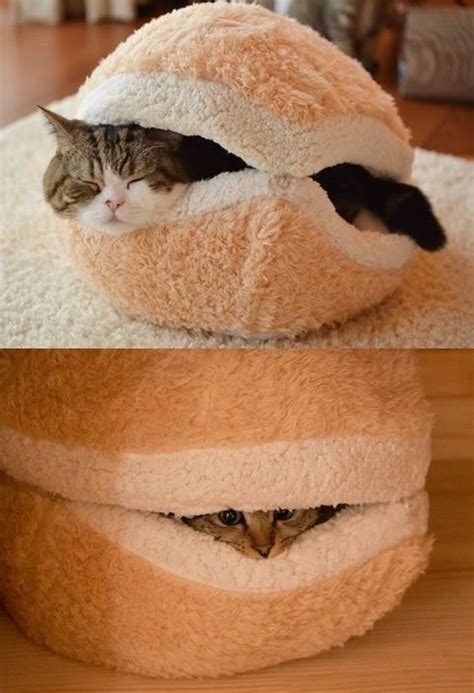 Spoil Your Kitty 27 Creative And Cozy Cat Beds Digsdigs