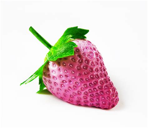 Purple Strawberry Free Stock Photo - Public Domain Pictures