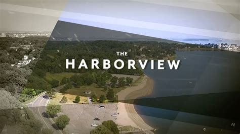 The Harborview Week Of February 17th Youtube