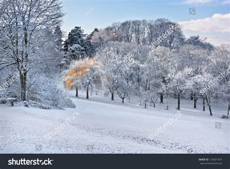 First Snow In The Park Winter Landscape Stock Photo 118301974