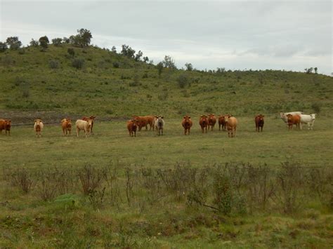 Gavião O Alentejo Verde Greentrekkerpt