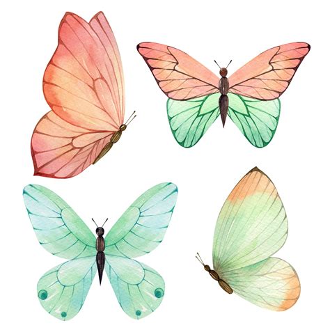 Watercolor Butterfly Clip Art For Instant Download Colorful Etsy