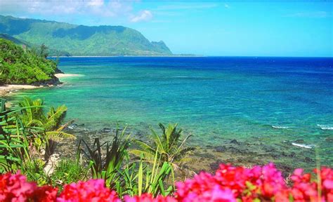 5 Motivos Para Você Conhecer A Ilha De Oahu Havaí Androidz