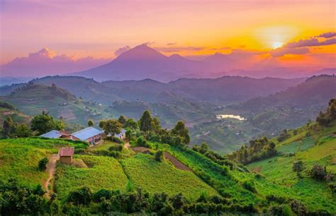 It is bordered to the east by kenya, to the north by south sudan, to the west by the democratic republic of the congo, to the southwest by rwanda, and to the south by tanzania. 20+ Interesting Facts About Uganda 2020 - Webbspy
