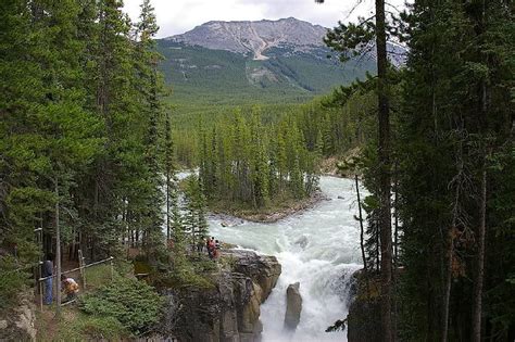 Sunwapta Falls Jasper Canada Mountain Water Trees Falls Hd