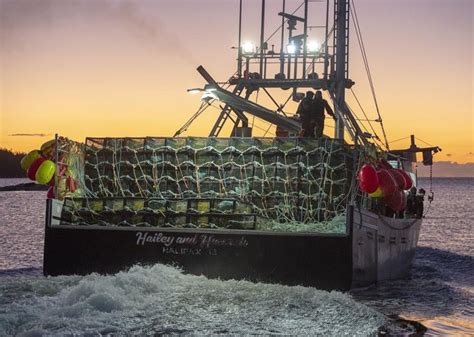 Lobster Fishers Processors Call For Delay Of Spring Season Globalnewsca