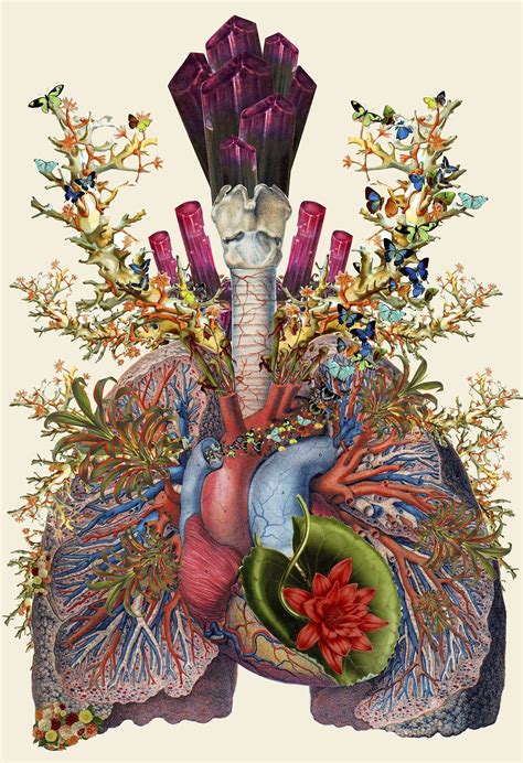 Collages Anatómicos Por Travis Bedel Lungs Art À Thème Anatomie Art