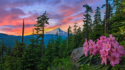 7 Best Things To Do Around Mount Hood Oregon This Summer