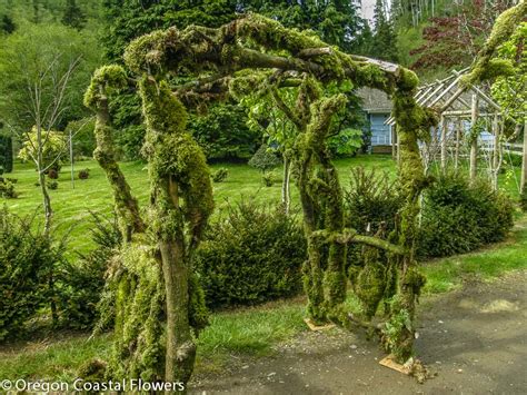 Natural Wedding Arches Oregon Coastal Flowers