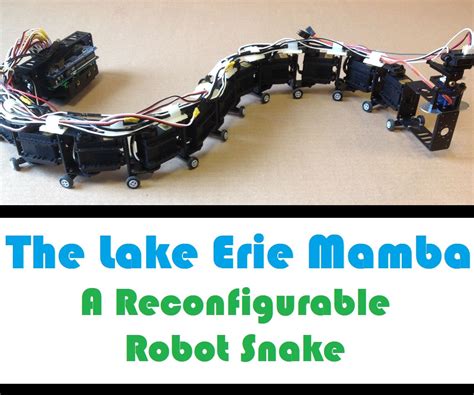 Snake Robot Robot Snake Arduino