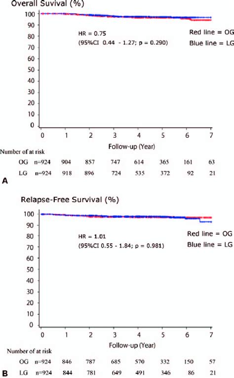 Survival Curves Using The Kaplan Meier Method And The Number Of At Risk