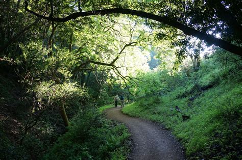Trail Rancho San Antonio Open Space Preserve California Flickr