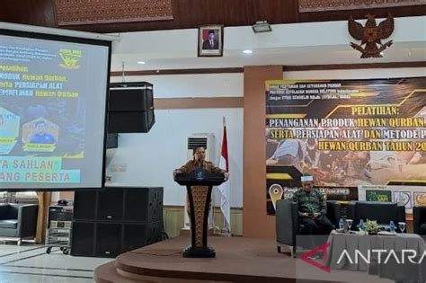 Bangka Belitung Latih Juru Sembelih Hewan Kurban Antara News
