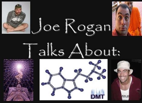 Dmt is one of a kind. Joe Rogan Dmt Quotes. QuotesGram