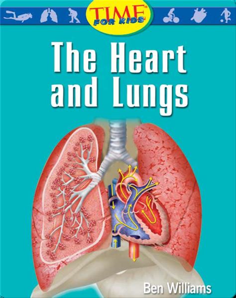The Heart And Lungs Childrens Book By Ben Williams Discover Children