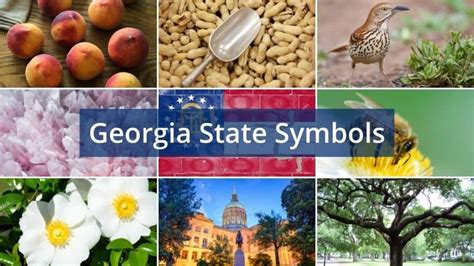 Learn What All The Georgia State Symbols Are With Our List And Table