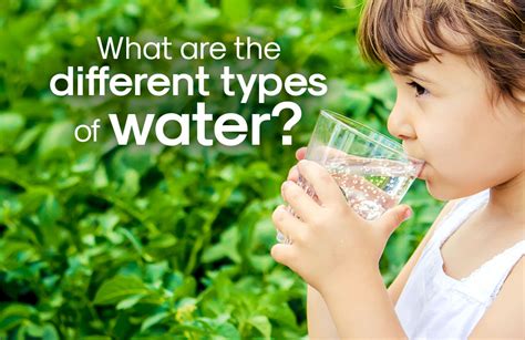 What Are The Different Types Of Water Alivewater Blog