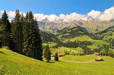 壁紙、スイス、風景写真、山、草原、oberland、トウヒ属、自然、ダウンロード、写真