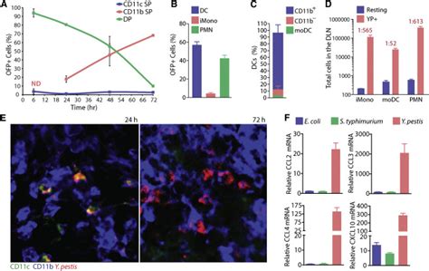 S1p Dependent Trafficking Of Intracellular Yersinia Pestis Through