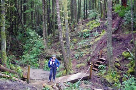 Crestline Park Woodland Loop Hike Hiking In Portland Oregon And