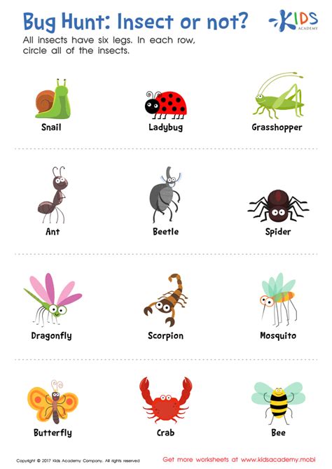 Insect Or Not Worksheet Free Printable Pdf For Kids