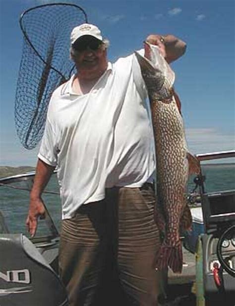 Roger Mcglenn Of Helena Mt With A 14 Pound Northern Pike Fort Peck