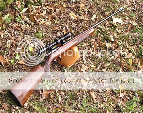 Lets See Your Rimfire Rifles Pictures Page 3 Rimfire Central