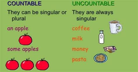 Gr 4 Countable And Uncountable Nouns Best Education