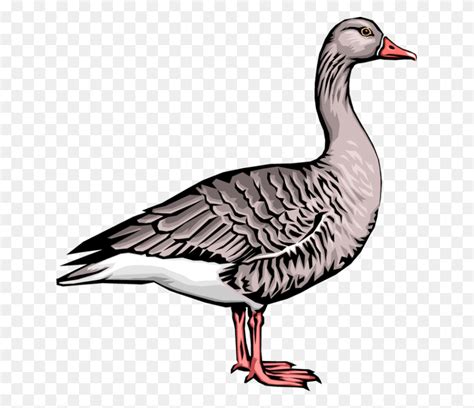 Goose Clip Art Goose Clipart Black And White Stunning Free