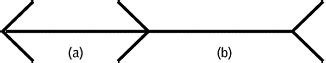 Learn about müller lyer illusion with free interactive flashcards. Müller-Lyer-Täuschung - Lexikon der Psychologie